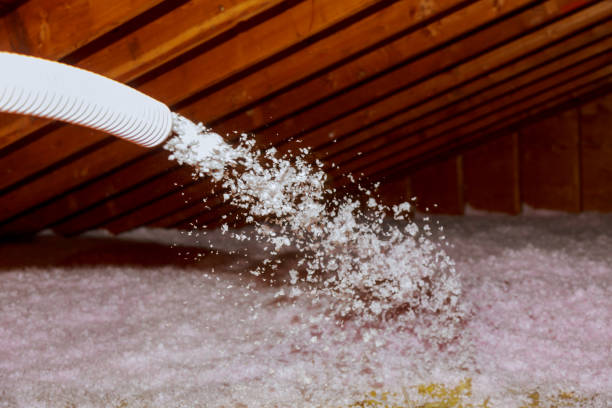 Best Insulation Inspection Services  in Fords Prairie, WA